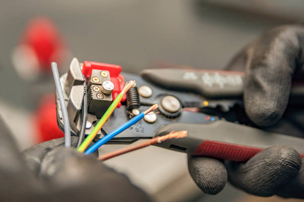 Best Electric Panel Repair  in Rincon, GA